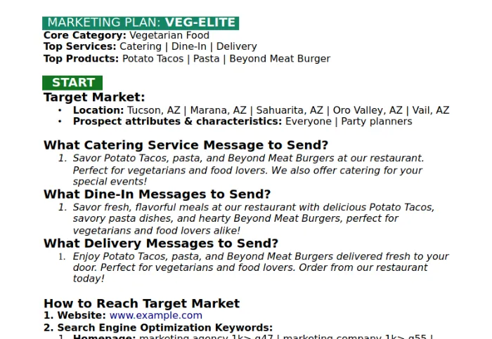 Screenshot of a marketing plan example by IntelAtlas